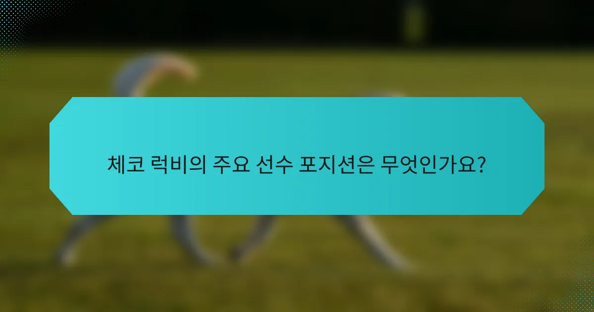 체코 럭비의 주요 선수 포지션은 무엇인가요?