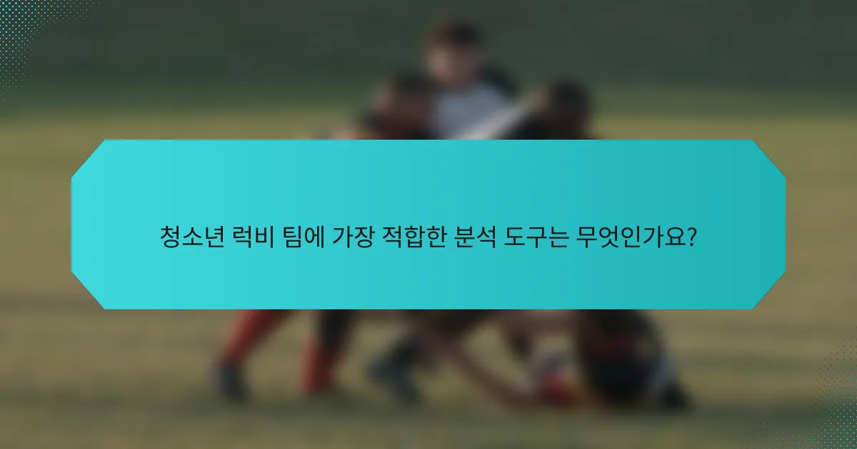 청소년 럭비 팀에 가장 적합한 분석 도구는 무엇인가요?