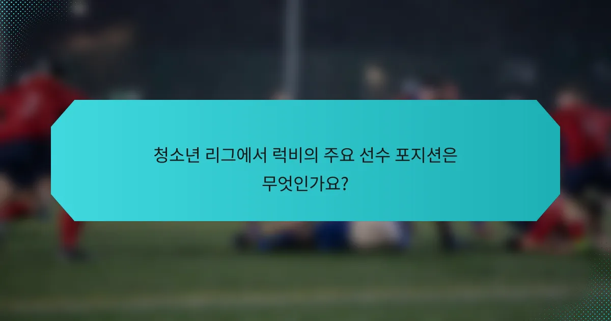 청소년 리그에서 럭비의 주요 선수 포지션은 무엇인가요?