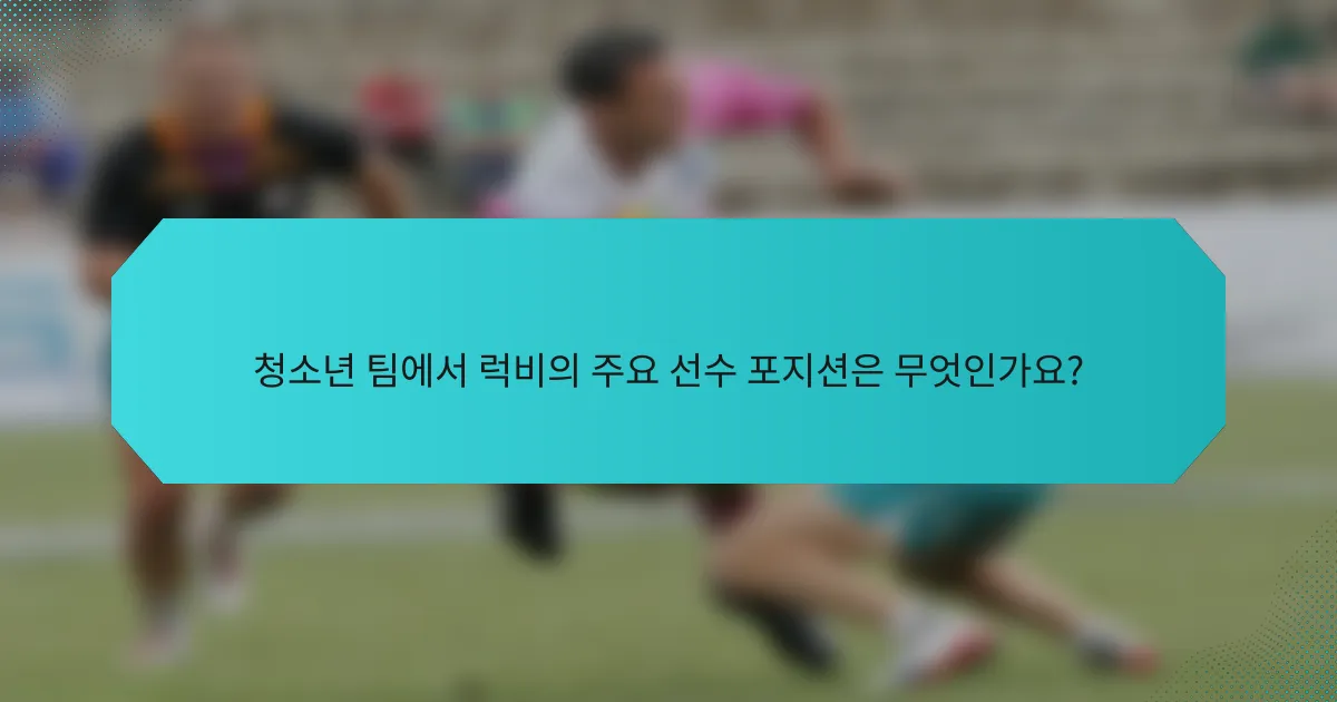 청소년 팀에서 럭비의 주요 선수 포지션은 무엇인가요?