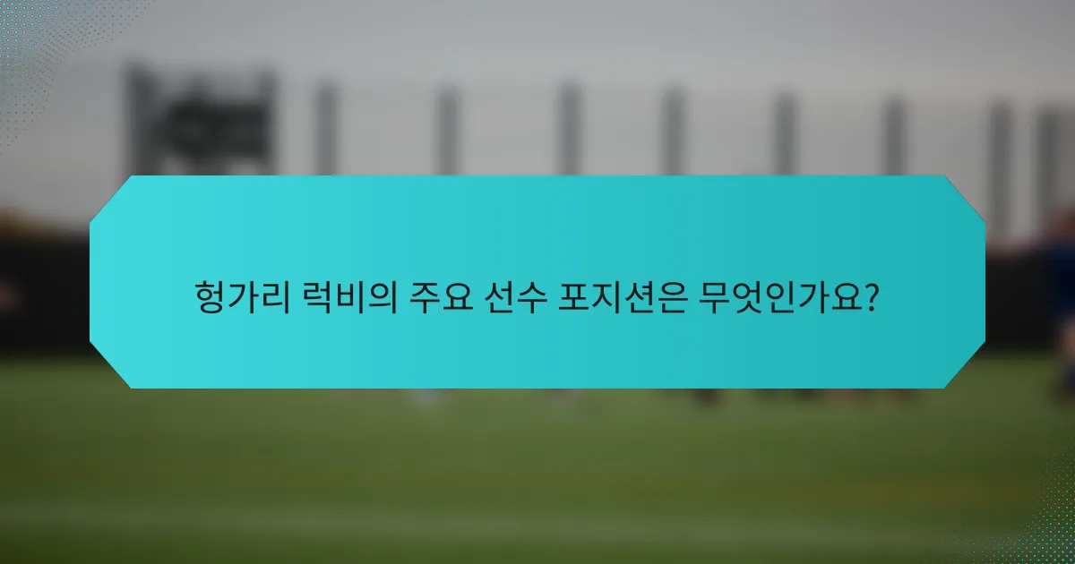 헝가리 럭비의 주요 선수 포지션은 무엇인가요?