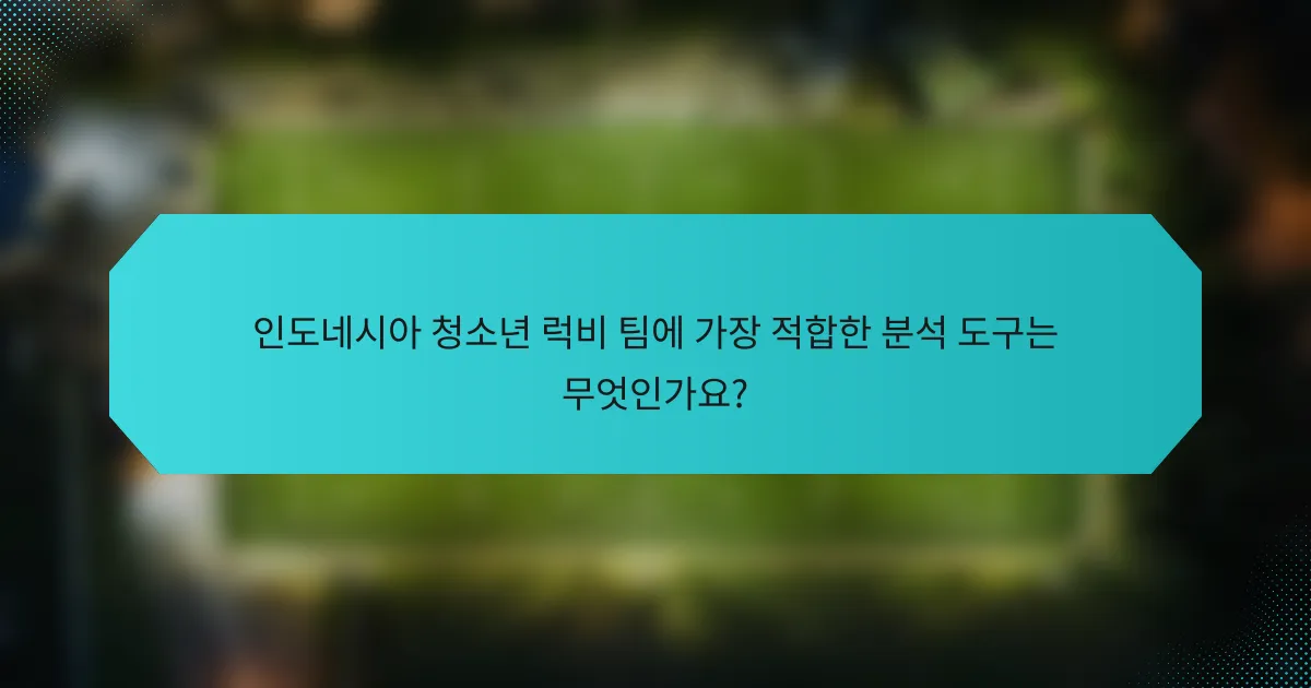 인도네시아 청소년 럭비 팀에 가장 적합한 분석 도구는 무엇인가요?