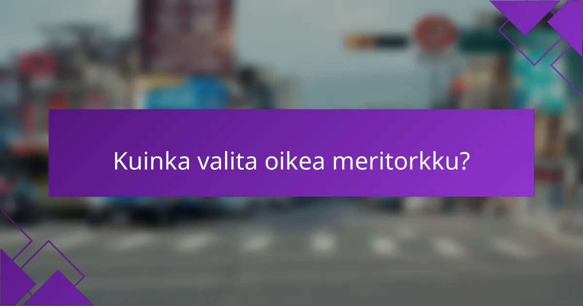 Kuinka valita oikea meritorkku?
