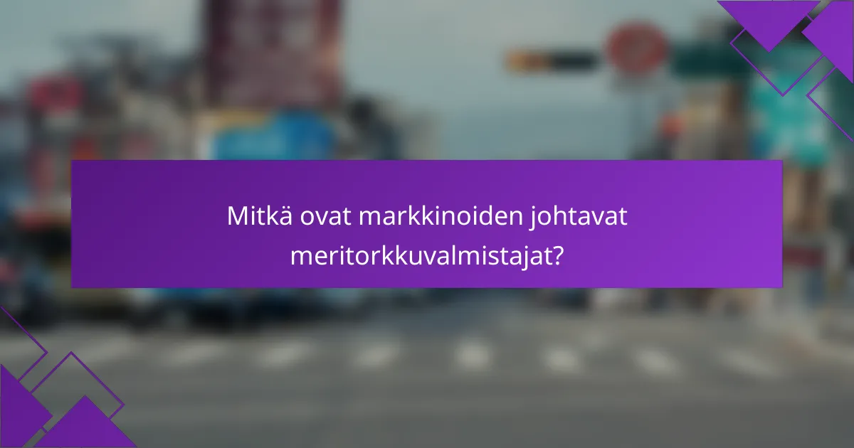 Mitkä ovat markkinoiden johtavat meritorkkuvalmistajat?